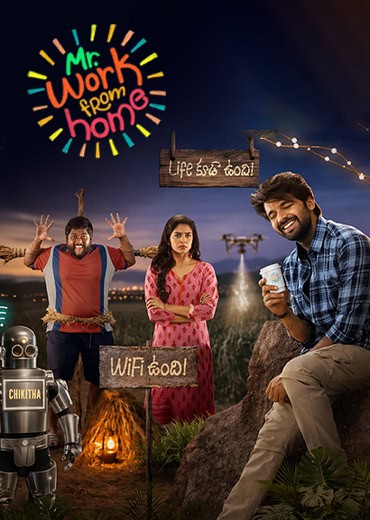 Mr. Work From Home Movie Review & Rating!