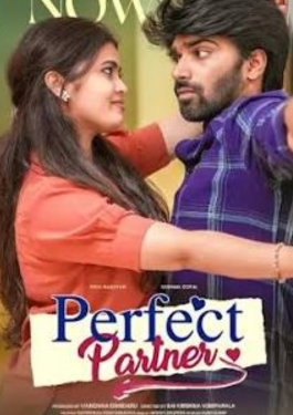 Perfect Partner