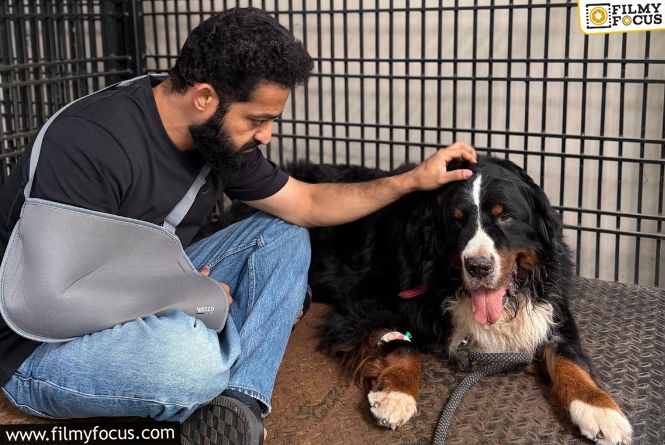 NTR Says Goodbye To His Beloved Companion Bagheera