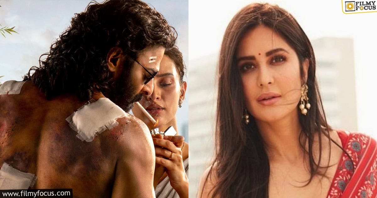 Katrina Kaif in Prabhas Spirit Movie