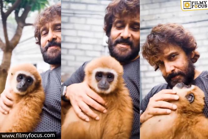 Vikram: విదేశీ కోతితో విక్రమ్… వివాదంలో చిక్కుకున్నాడా? Vikram: విదేశీ కోతితో విక్రమ్… వివాదంలో చిక్కుకున్నాడా?