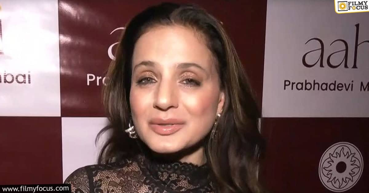 Ameesha Patel counter to netizen