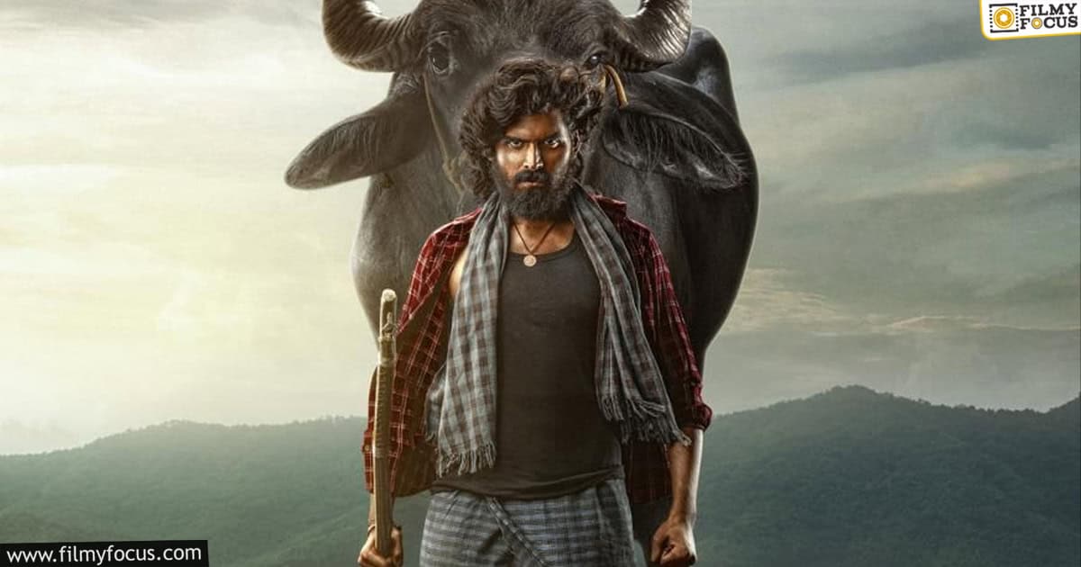 Maremma Movie Review and Rating