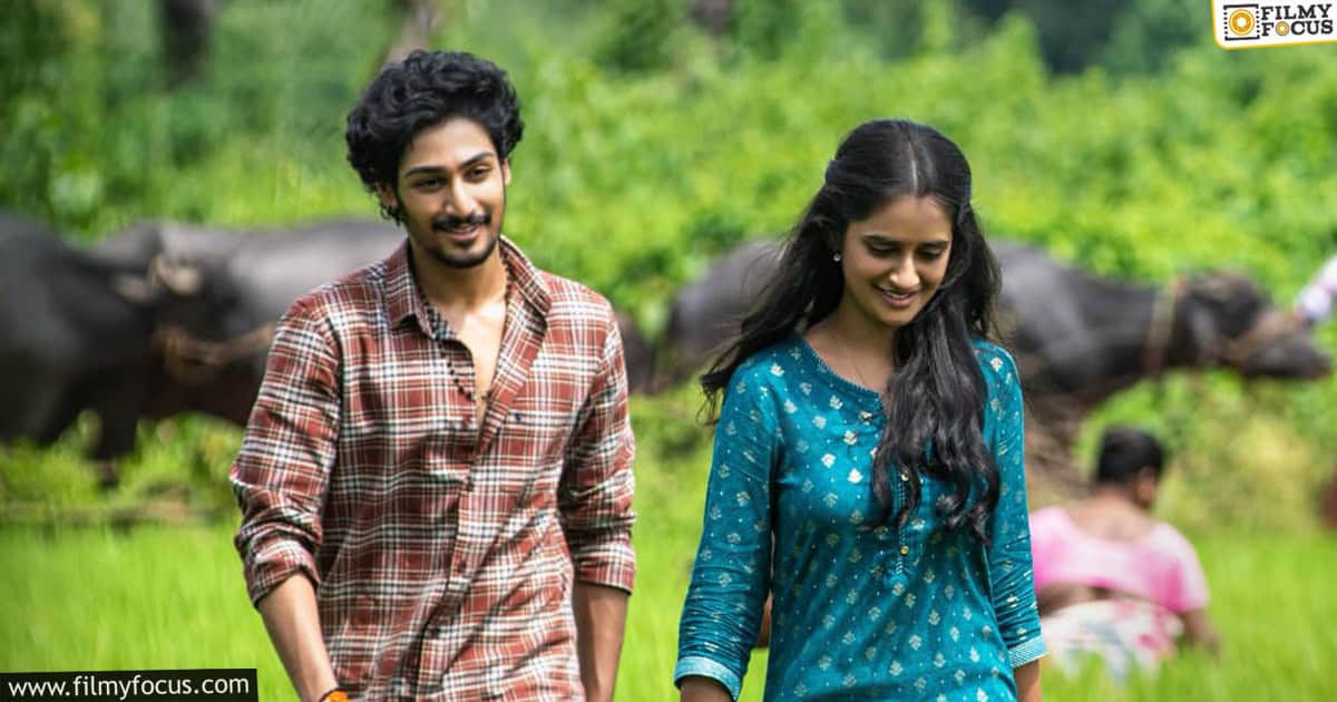 Anakapalli Movie Review And Rating