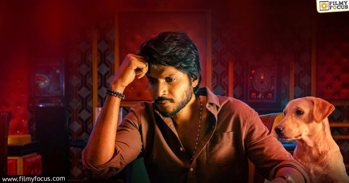 Sigma Movie Review And Rating